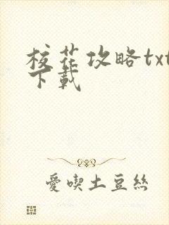 校花攻略txt下载