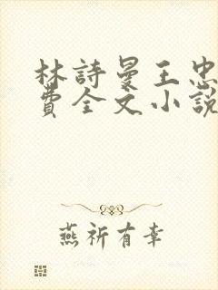 林诗曼王忠文免费全文小说的名称