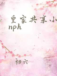 皇家共享小公主nph