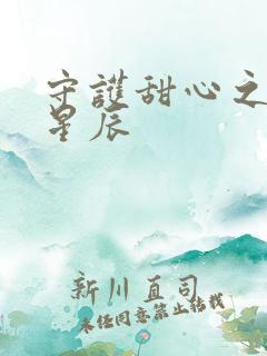 守护甜心之暗夜星辰