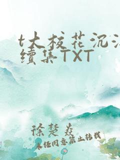 t大校花沉浮录续集TXT