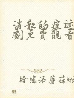 消散的痕迹电视剧免费观看完整版