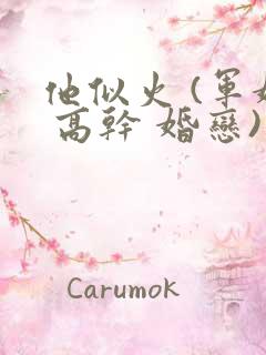 他似火 (军婚 高干 婚恋)小说免费阅读