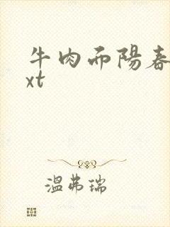 牛肉面阳春面txt