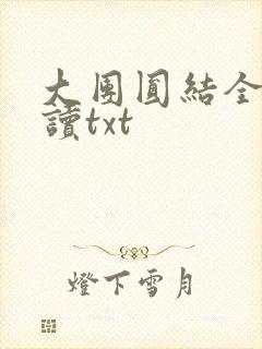 大团圆结全文阅读txt