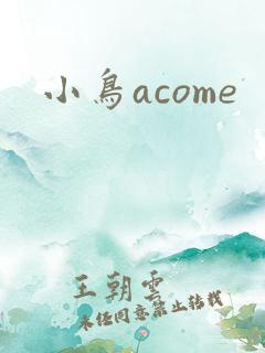 小鸟acome