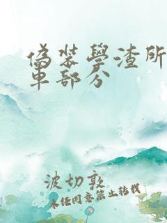 伪装学渣所有开车部分