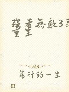 强者无敌3烈火重生