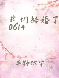 我们结婚了130614