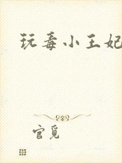 玩毒小王妃