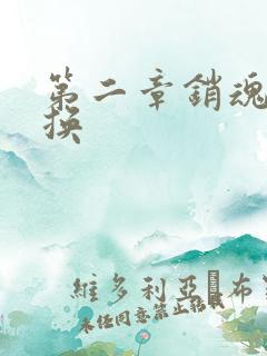 第二章销魂的交换