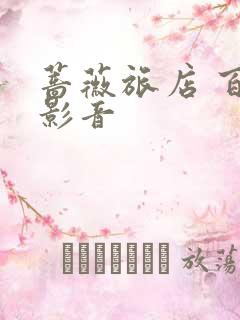 蔷薇旅店 百度影音