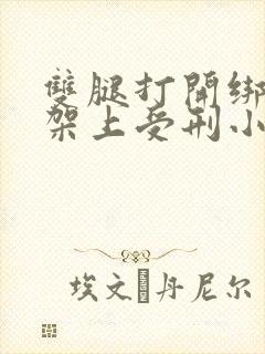 双腿打开绑在刑架上受刑小说