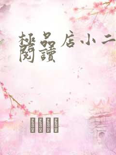 极品店小二全文阅读