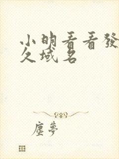 小明看看发布永久域名