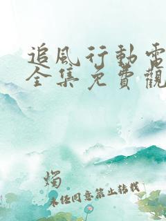 追风行动电视剧全集免费观看