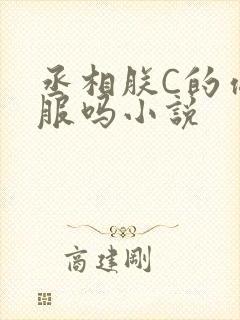 丞相朕C的你舒服吗小说