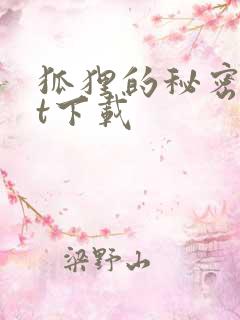 狐狸的秘密txt下载