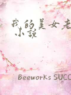 我的美女老婆们 小说