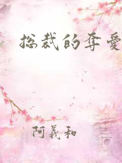 总裁的夺爱游戏