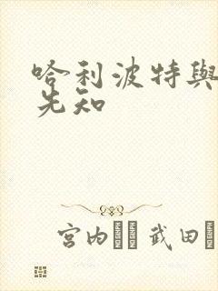 哈利波特与冒牌先知