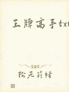 王牌高手txt