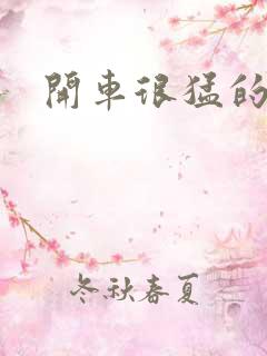 开车很猛的古文