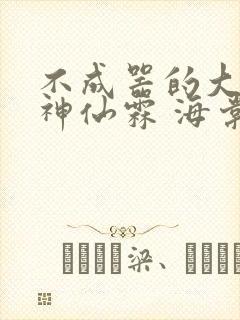 不成器的大哥 神仙霖 海棠