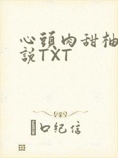 心头肉甜柚子小说TXT