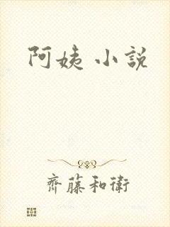 阿姨 小说