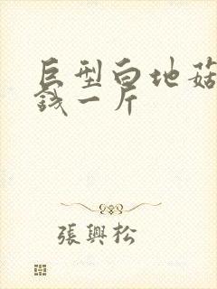 巨型白地菇多少钱一斤