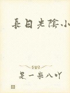 长日光阴小说