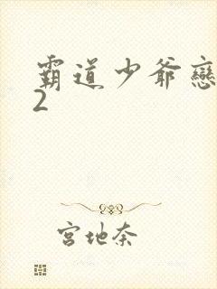 霸道少爷恋上我2