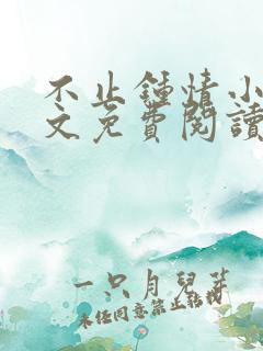 不止钟情小说全文免费阅读