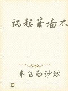 祸起萧墙不知戢