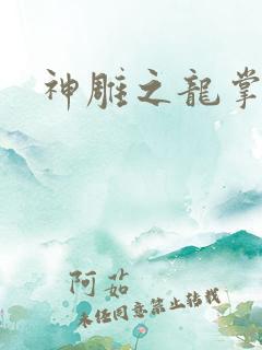 神雕之龙掌门