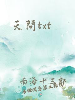 天问txt