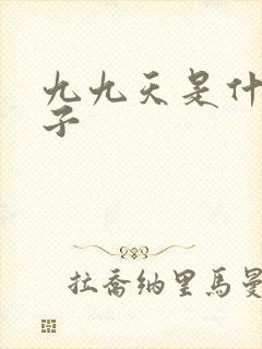 九九天是什么日子