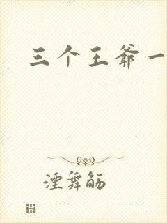 三个王爷一个妃