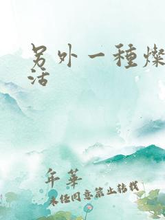 另外一种灿烂生活