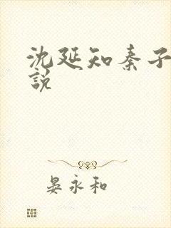 沈延知秦子卿小说