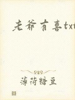 老爷有喜txt