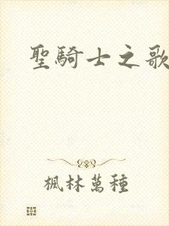 圣骑士之歌