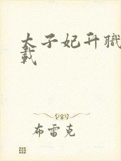 太子妃升职记下载