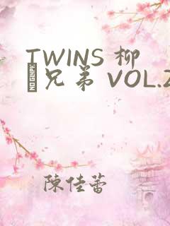 TWINS 柳澤兄弟 VOL.2