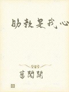 助教是我心尖宠