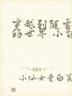 穿越到随处做 的世界 小说