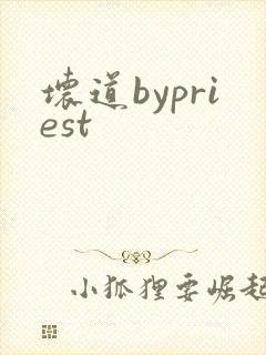 坏道bypriest