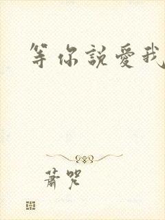 等你说爱我小说