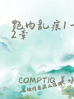 艳肉乱痕1一12章